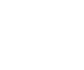 icon-wp